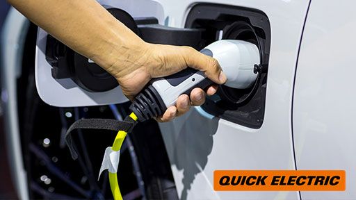 Fast, One Time Service In Pipitea